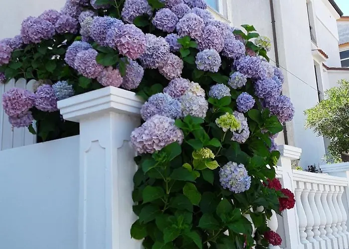 Apartamento Studioapartment Meri 4 By Interhome